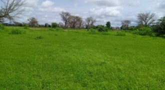 Terrain 8579 m² à Vendre — Notto Diobass, Thiès