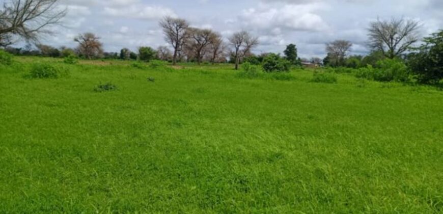Terrain 8579 m² à Vendre — Notto Diobass, Thiès