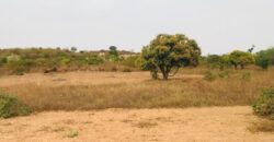 Terrain 8761 m² à Vendre — Diass, Thiès