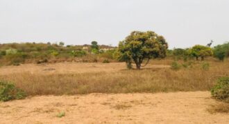 Terrain 8761 m² à Vendre — Diass, Thiès