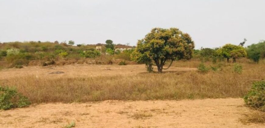 Terrain 8761 m² à Vendre — Diass, Thiès