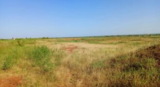 Terrain 8779 m² Bord Route à Vendre — Notto Diobass, Thiès