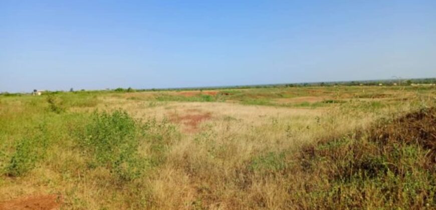 Terrain 8779 m² Bord Route à Vendre — Notto Diobass, Thiès