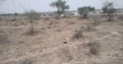 Terrain 9,22 ha à Vendre — Thieppe, Louga