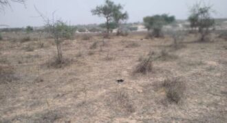 Terrain 9,22 ha à Vendre — Thieppe, Louga