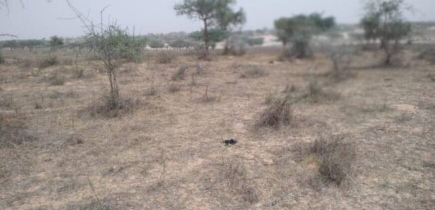 Terrain 9,22 ha à Vendre — Thieppe, Louga