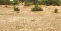 Terrain 9,25 ha à Vendre — Keur Samba Kane, Diourbel