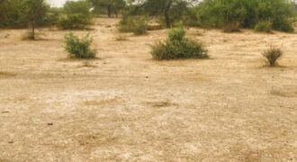 Terrain 9,25 ha à Vendre — Keur Samba Kane, Diourbel