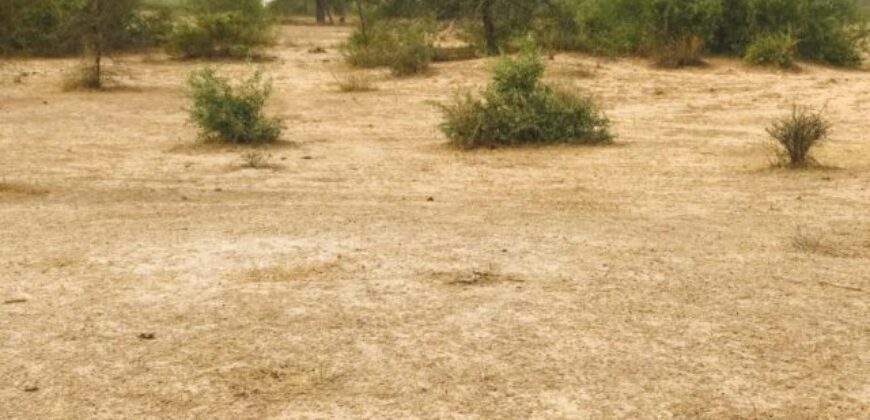 Terrain 9,25 ha à Vendre — Keur Samba Kane, Diourbel