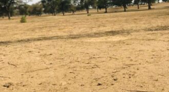 Terrain 9070 m² à Vendre — Touba Toul, Thiès