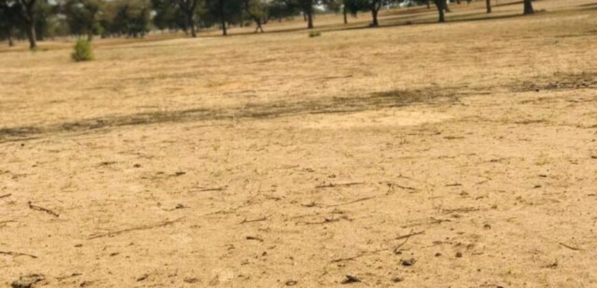 Terrain 9070 m² à Vendre — Touba Toul, Thiès