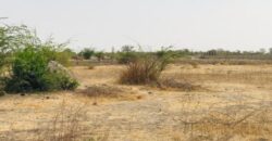 Terrain 9115 m² à Vendre — Nguéniène, Thiès