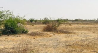Terrain 9115 m² à Vendre — Nguéniène, Thiès