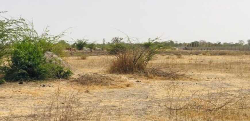 Terrain 9115 m² à Vendre — Nguéniène, Thiès