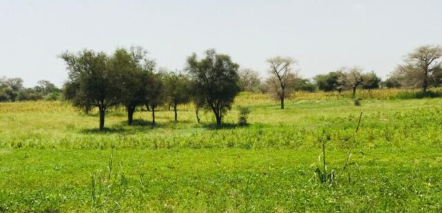 Terrain 9511 m² à Vendre — Baba Garage, Diourbel