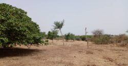 Terrain 9815 m² à Vendre — Notto Diobass, Thiès
