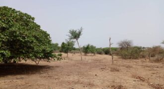 Terrain 9815 m² à Vendre — Notto Diobass, Thiès