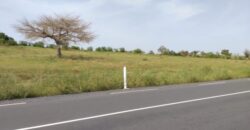 Terrain 9869 m² Bord Route à Vendre — Thieppe, Louga