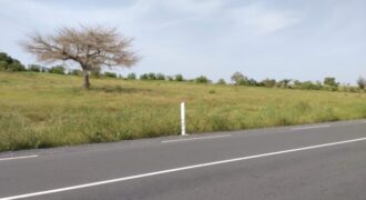 Terrain 9869 m² Bord Route à Vendre — Thieppe, Louga