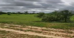 Terrain agricole 100 hectares à vendre – Koul, Thiès