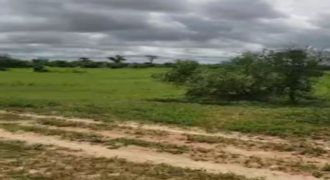 Terrain agricole 100 hectares à vendre – Koul, Thiès