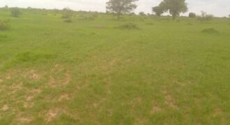 Terrain agricole 3 hectares à louer – Koungheul, Kaffrine