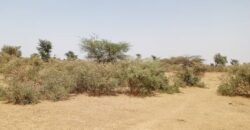 Terrain agricole 48 hectares à vendre – Koul, Thiès