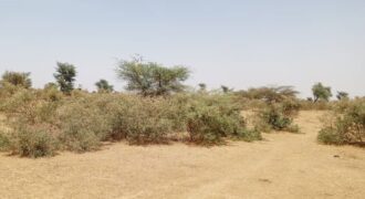 Terrain agricole 48 hectares à vendre – Koul, Thiès