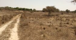 Terrain 9.889 m² à vendre – Darou Khoudoss, Thiès