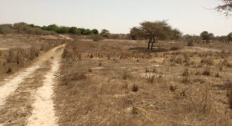 Terrain 9.889 m² à vendre – Darou Khoudoss, Thiès