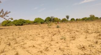 Terrain 9.942 m² à vendre – Sandiara, Mbour