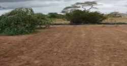 Verger 1 hectare équipé à vendre – Tassette, Thiès
