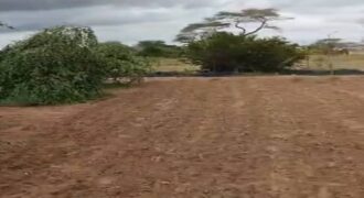 Verger 1 hectare équipé à vendre – Tassette, Thiès
