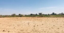 Verger agricole 2 hectares à vendre – Fissel, Thiès