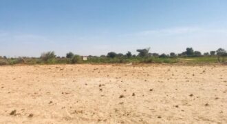 Verger agricole 2 hectares à vendre – Fissel, Thiès