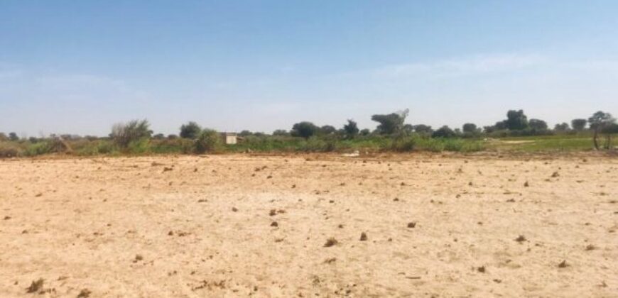 Verger agricole 2 hectares à vendre – Fissel, Thiès