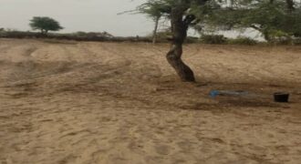 Verger agricole 2,50 hectares à louer – Mboro, Thiès