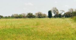 Verger Fruitier 2860 m² à vendre – Baba Garage, Diourbel