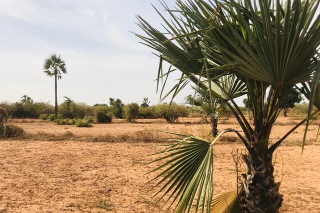 Terrain 8761 m² à Vendre — Diass, Thiès