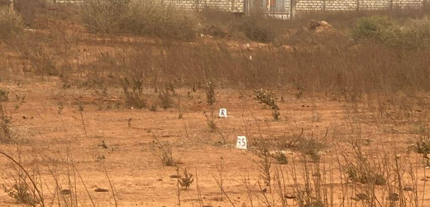 Terrain 150 m² à vendre – Ndoukhoura Wolof, Pout