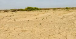 Parcelles de 150 m² à vendre – Yenne Niayes Khayes, Sénégal