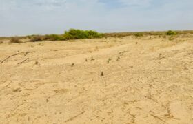 Parcelles de 150 m² à vendre – Yenne Niayes Khayes, Sénégal