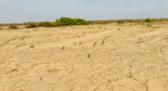 Parcelles de 150 m² à vendre – Yenne Niayes Khayes, Sénégal
