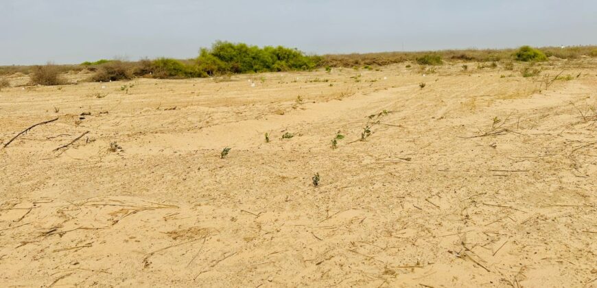 Parcelles de 150 m² à vendre – Yenne Niayes Khayes, Sénégal