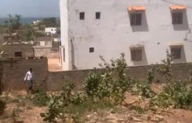 Terrain de 300 m² à vendre – Yenne Niangal, Sénégal