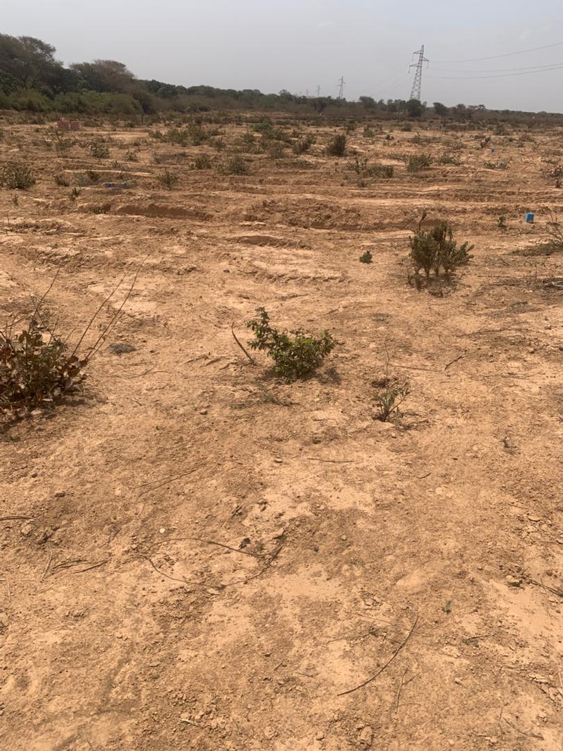 Terrain 150 m² à vendre – Yenne Niayes Khayes, Dakar