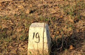 Terrain 150 m² à vendre – Yenne Kandam, Yene